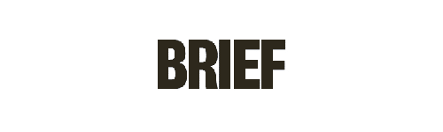 brief logo